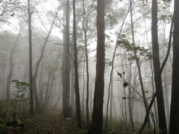 appalachian trail